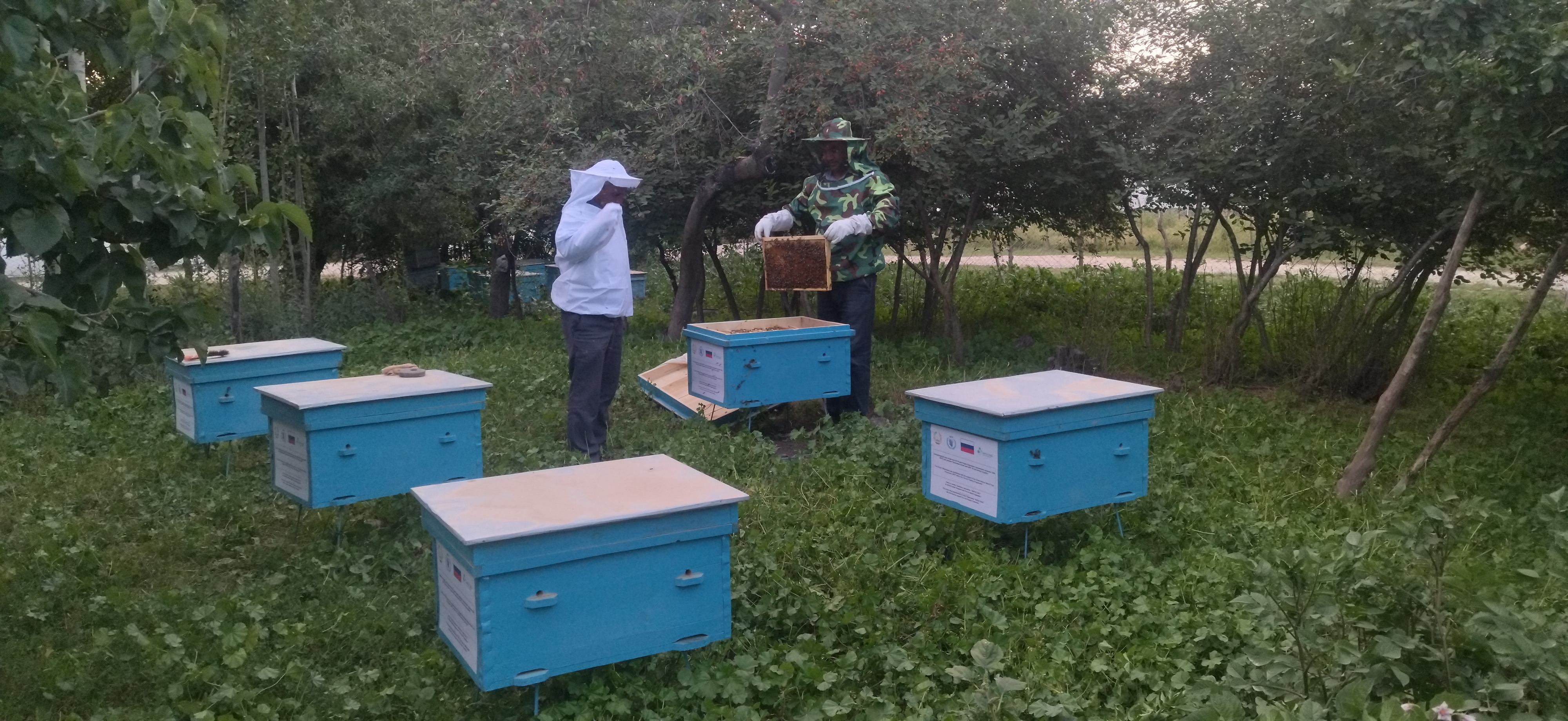 SABER School Feeding Analysis in Tajikistan for 2021