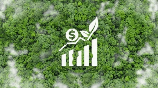 Consultancy and construction services on micro-hydropower plant.