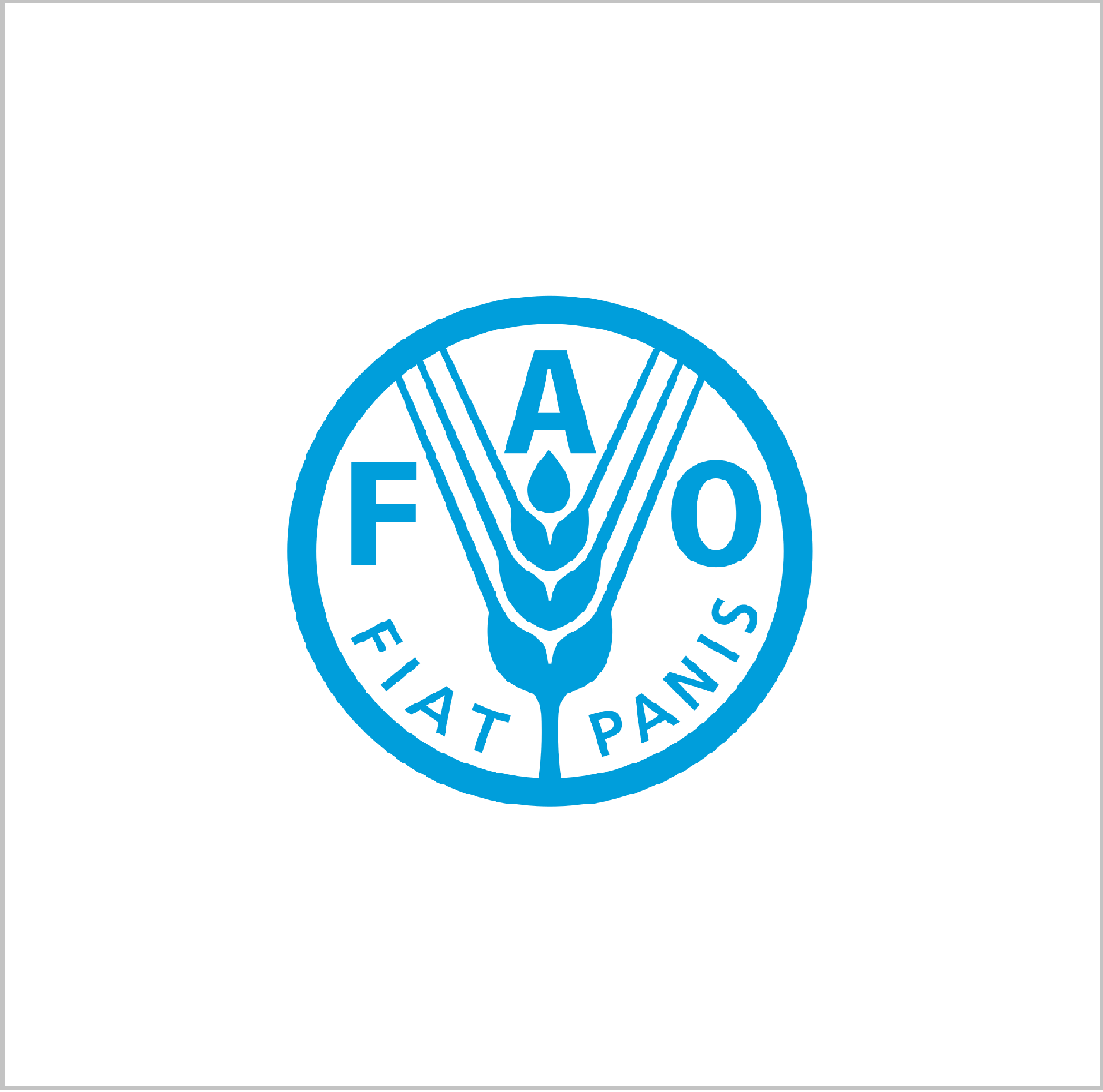 Всемирная продовольственная программа (ВПП)