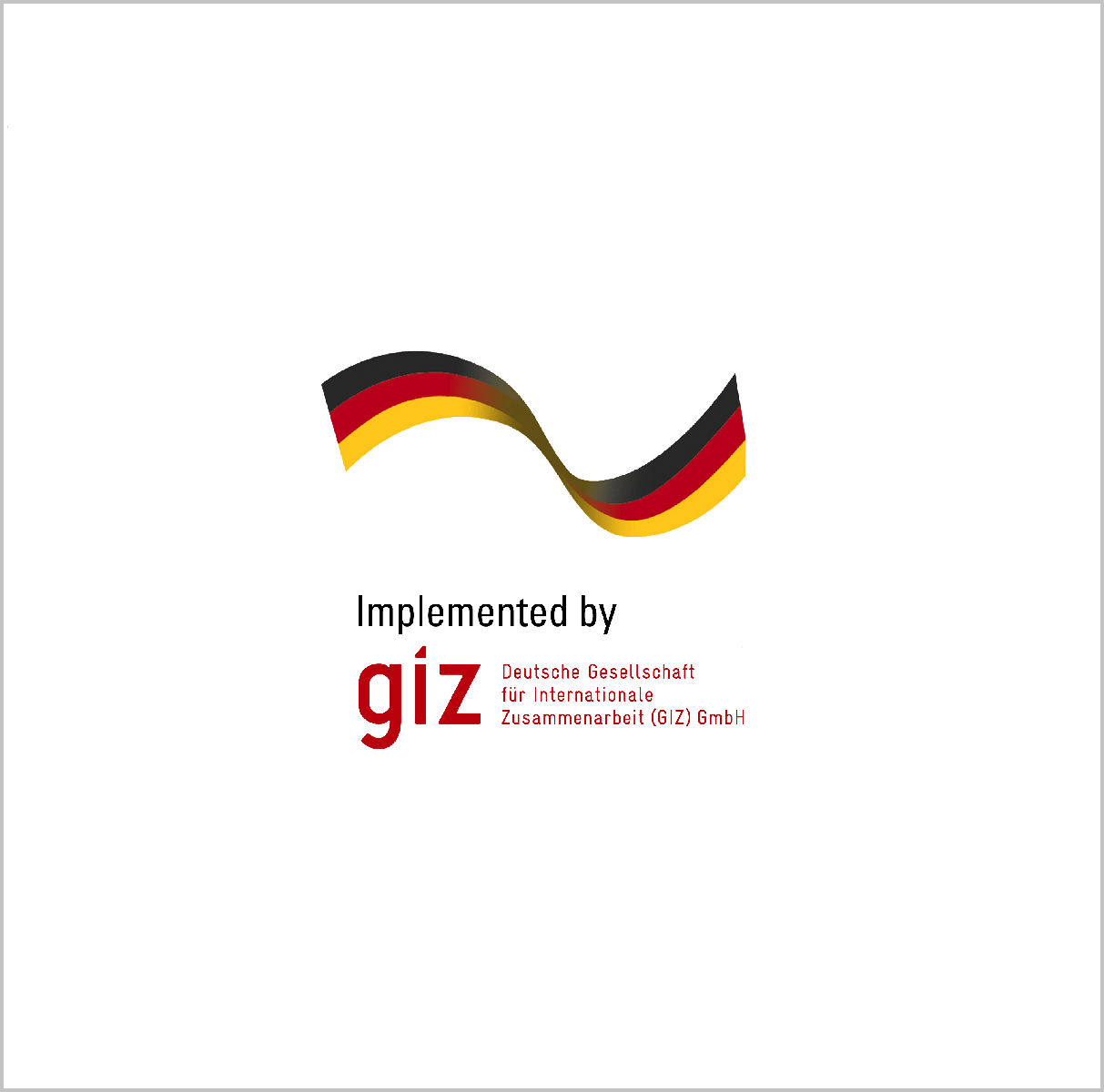 Германское общество по международному сотрудничеству (GIZ)